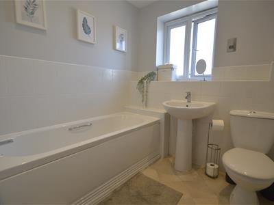Picture 14